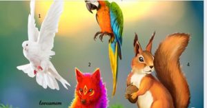 Elige uno de estos animales y mira el mensaje especial que tiene para tu vida.